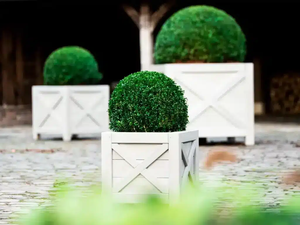 Photo 1 de Jardinière Populus G