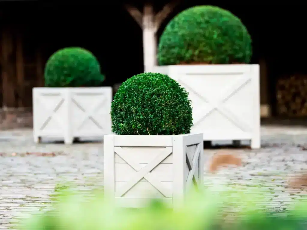 Photo 1 de Jardinière Populus G