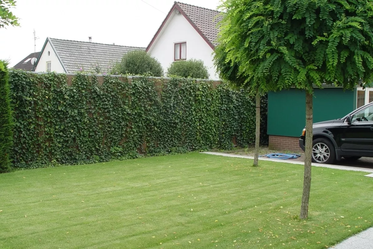 Photo 13 de Clôture rigide Kokosystems Kokowall